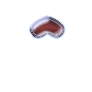 231