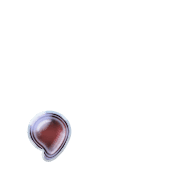 245