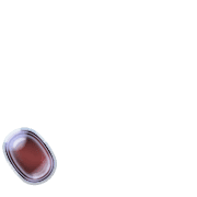 256