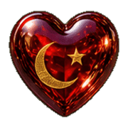 020
