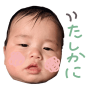 016
