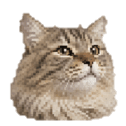 015