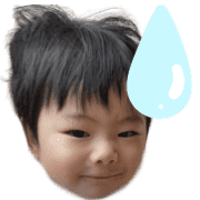 003