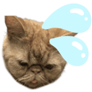 025