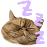 037