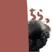 038