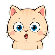 029