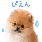 006