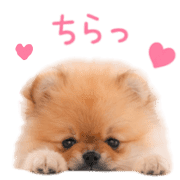 009