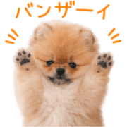012