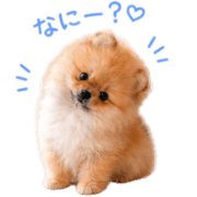 019