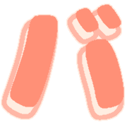 151