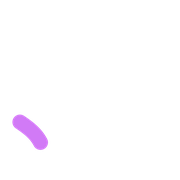 256