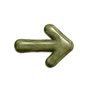 101