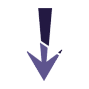 261