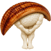 004