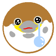 006