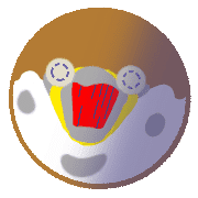 016