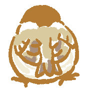 029