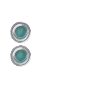 244