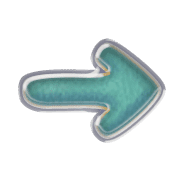 262