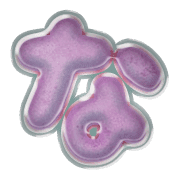 021