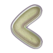 008