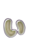048