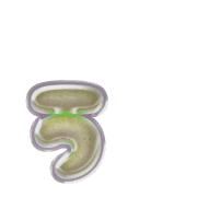 049