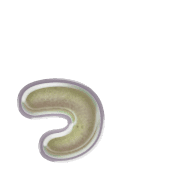 052
