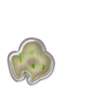 054