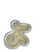 055