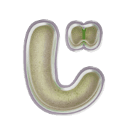 062
