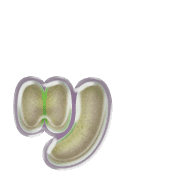 132