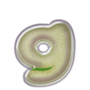 194
