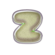 213