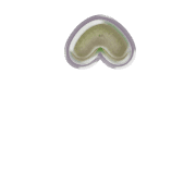 231