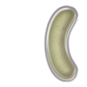 234
