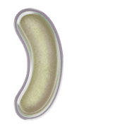235