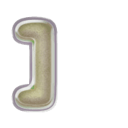 241