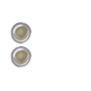 244