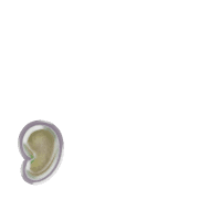 245