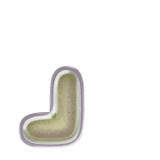 255
