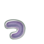 052