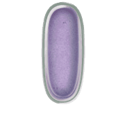 199