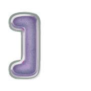 241