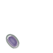 256