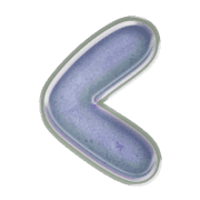 008