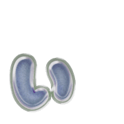 048