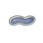 224